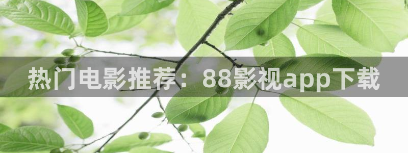 黑螞蟻影院電視劇免費看