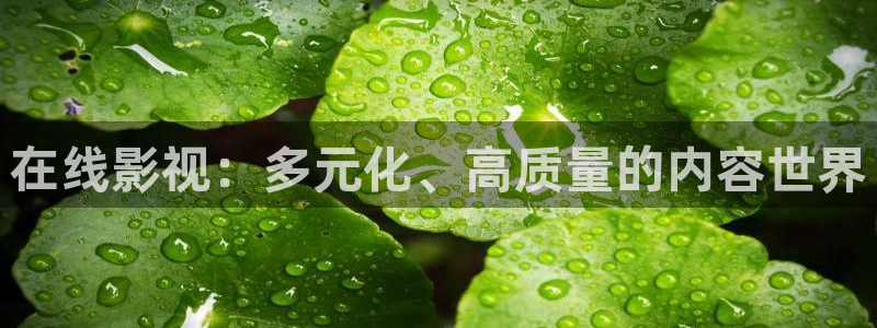 黑螞蟻電視劇：在線影視：多元化、高質(zhì)量的內(nèi)容世界