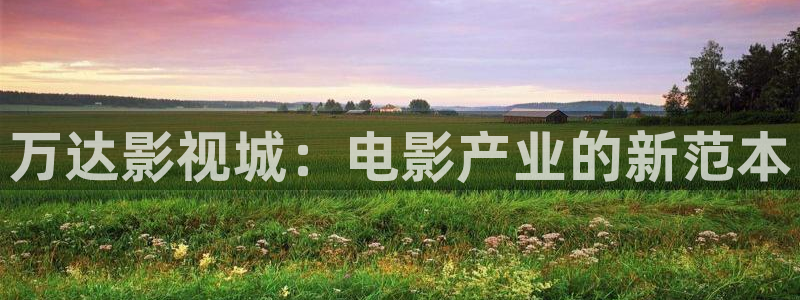 黑螞蟻影視公司