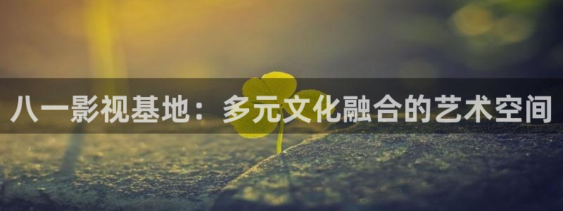 黑螞蟻影視公司
